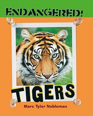 Book cover of Tigers by Marc Tyler Nobleman