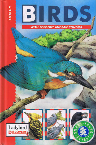 Book cover of Wildlife - Birds: With Foldout Andean Condor by David Alderton, L.R. Galante (Illus.)