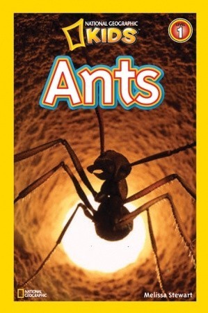 Book cover of Ants by Melissa Stewart