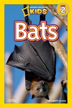 Book cover of Bats by Elizabeth Carney