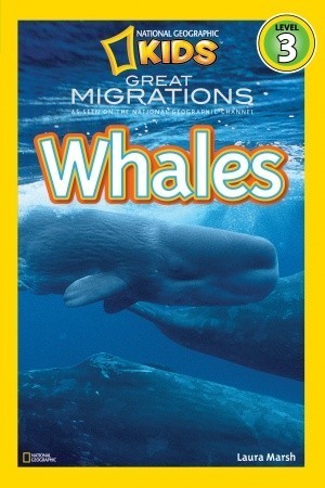 Book cover of Great Migrations: Whales by Laura Marsh, National Geographic Kids (Ed.)