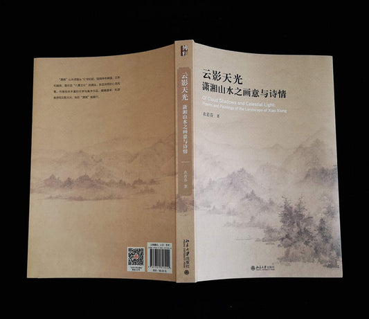 Book cover of 云影天光 by 衣若芬