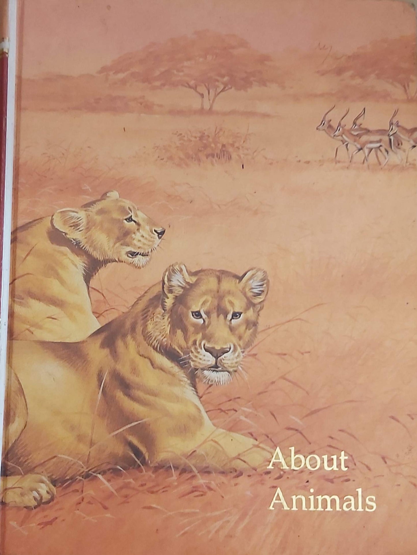 Book cover of Childcraft by Childcraft International