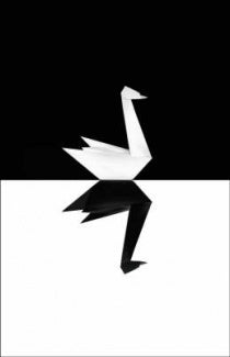 Book cover of The Black Swan by Nassim Nicholas Taleb