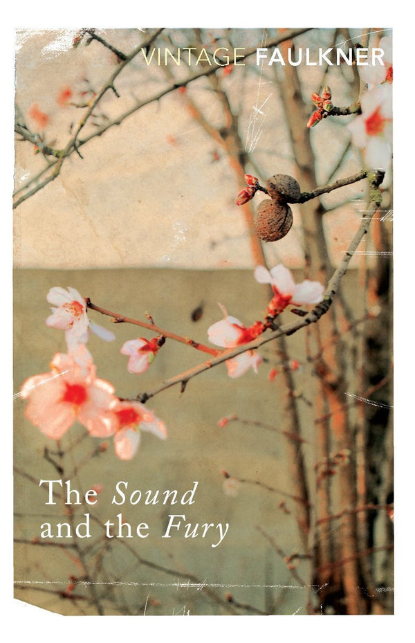 Book cover of The Sound And The Fury by William Faulkner, Richard Hughes (Introduction)