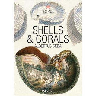 Book cover of Seba, Shells & Corals by Albertus Seba