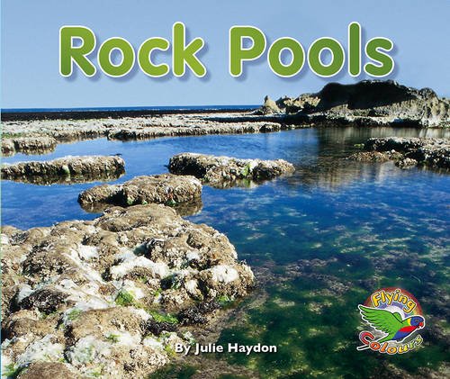 Book cover of Rock Pools by Julie Haydon