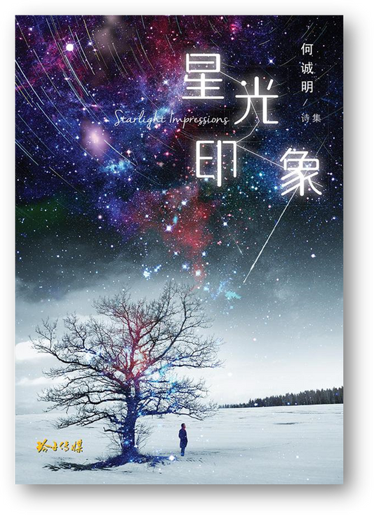 Book cover of 星光印象 by 何诚明
