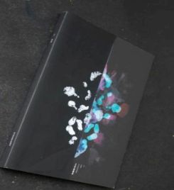 Book cover of He Shi: Chen Yu Yu Works by Chen Yu Yu (Illus.)