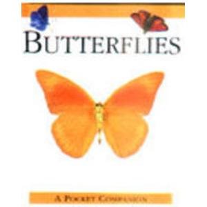 Book cover of Butterflies: A Pocket Companion by Rebecca Kingsley
