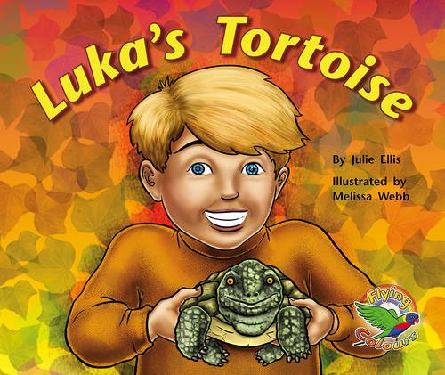 Book cover of Luka's Tortoise by Julie Ellis