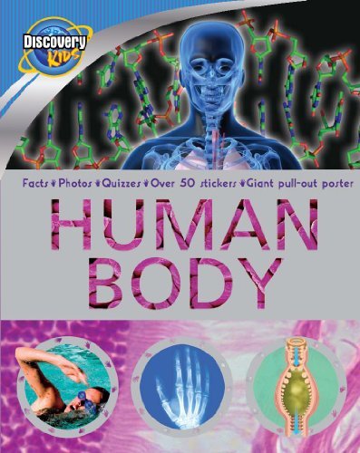 Book cover of Discovery Kids: Human Body by Sally   Morgan