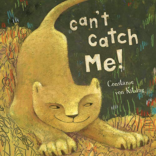 Book cover of Can't Catch Me by Constanze von Kitzing