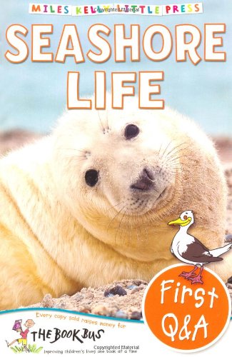 Book cover of Seashore by Belinda Gallagher