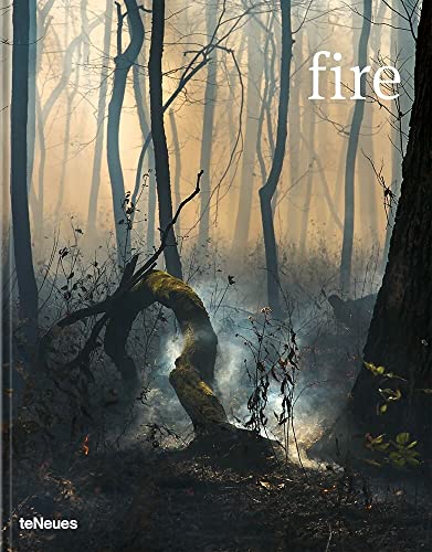 Book cover of Fire by Prix Pictet