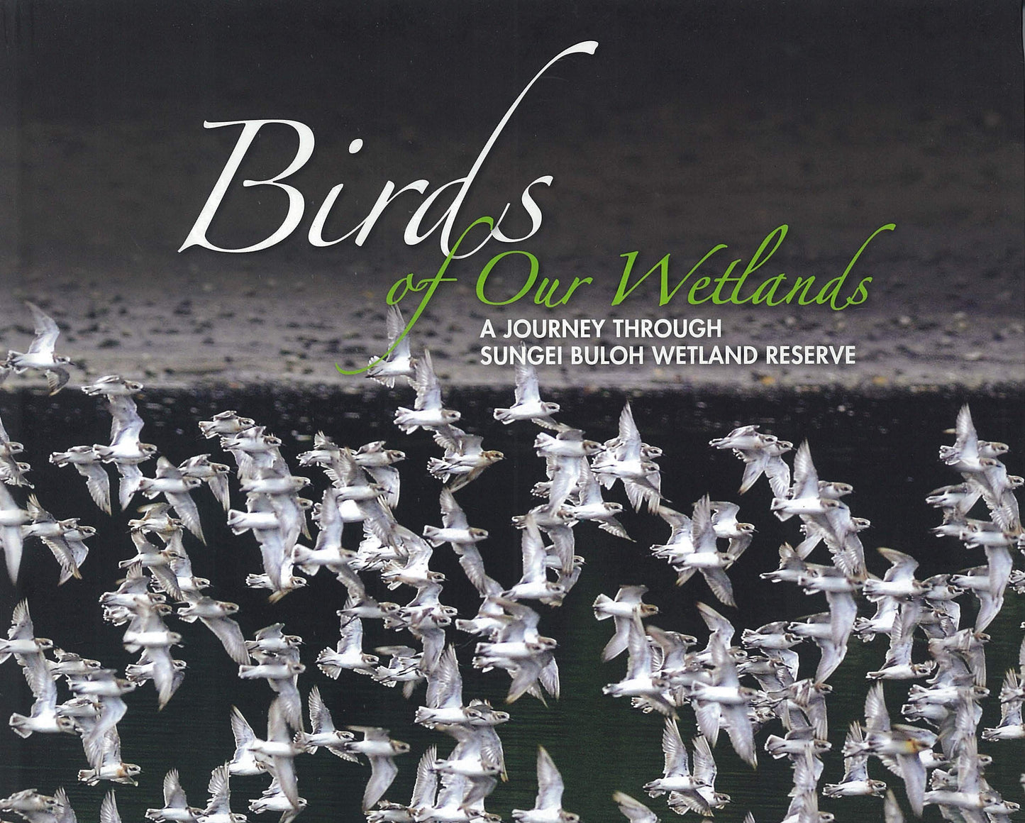 Book cover of Birds of Our Wetlands: A Journey Through Sungei Buloh Wetland Reserve