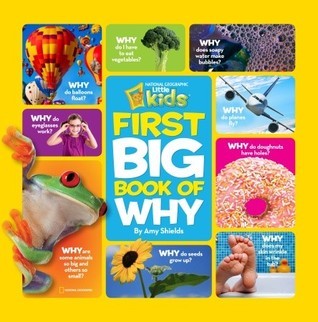 Book cover of First Big Book Of Why by Amy Shields