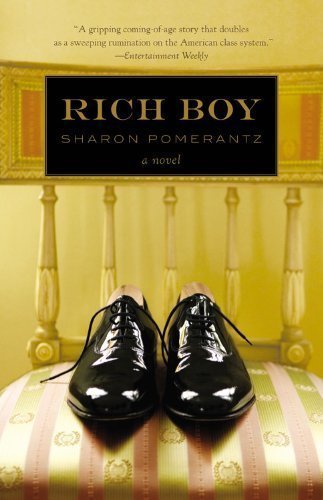 Book cover of Rich Boy by Sharon Pomerantz