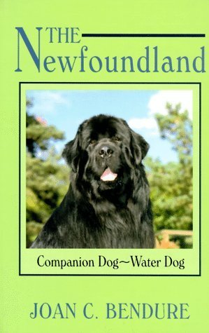 Book cover of The Newfoundland: Companion Dog-Water Dog by Joan C. Bendure