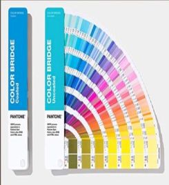 Book cover of Pantone Gp6102b Color Bridge Coated & Uncoated