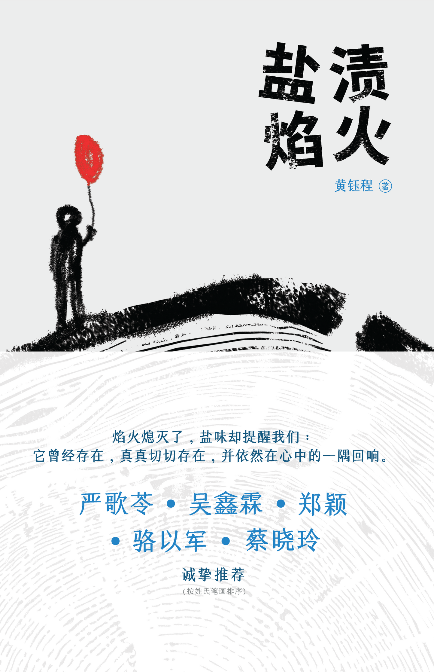 Book cover of 盐渍焰火 by 黄钰程