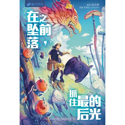 Book cover of 魔豆流行文学 92：在坠落之前，抓住最后的光 by Teoh Jia Lin 张佳琳