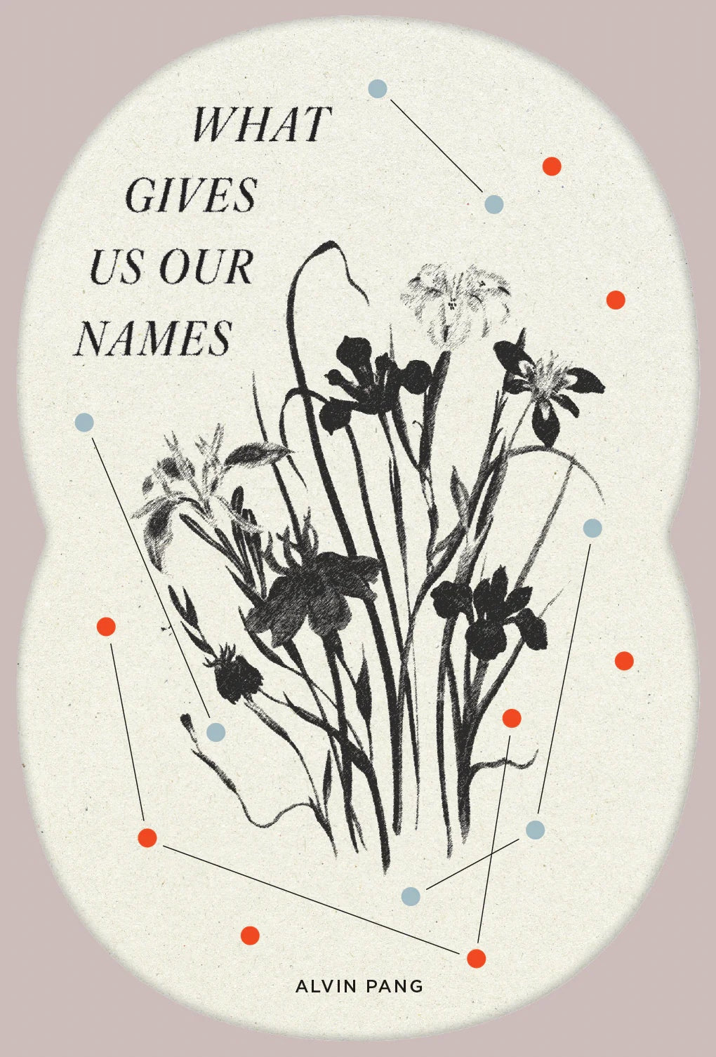 Book cover of What Gives Us Our Names by Alvin Pang
