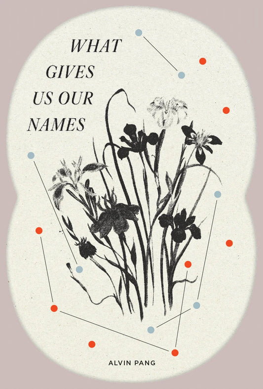 Book cover of What Gives Us Our Names by Alvin Pang