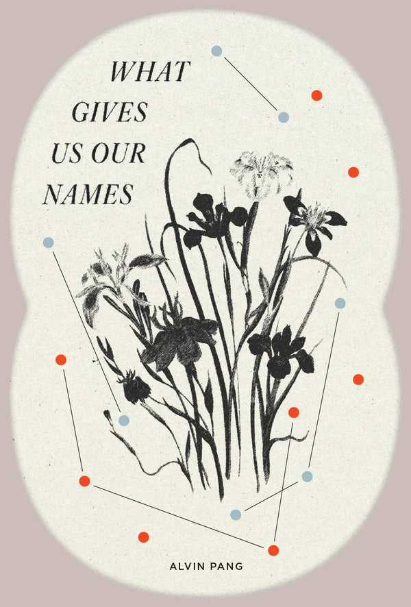 Book cover of What Gives Us Our Names by Alvin Pang