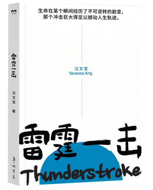 Book cover of 雷霆一击 by 汪文宝