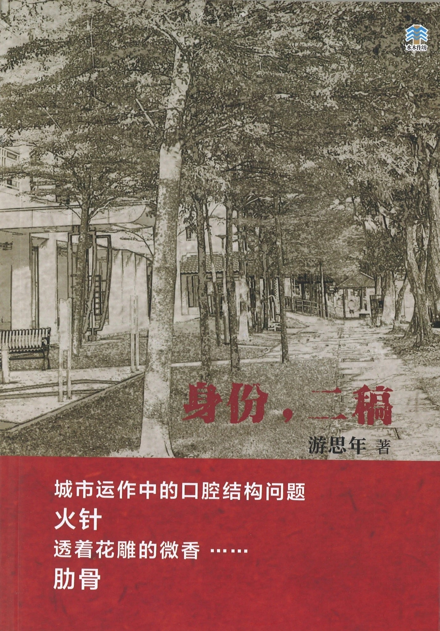 Book cover of 身份，二稿 by 游思年