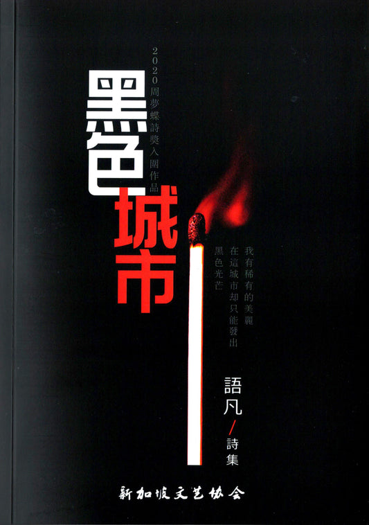 Book cover of 黑色城市 by 语凡