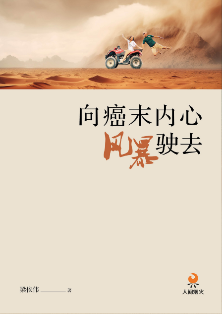 Book cover of 向癌末内心风暴驶去 by 梁依伟